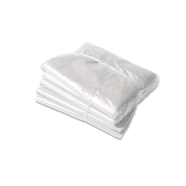 Saco Plástico Sem Furo Para Moeda Com 100 UN 10x18cm Flexiplast