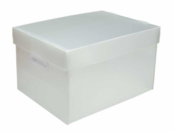Caixa Organizadora Box Plus Grande Cristal Polibras Ref. 230
