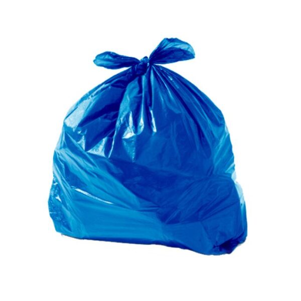 Saco Para Lixo 20L Azul Com 100 UN Dia A Dia Reforçado