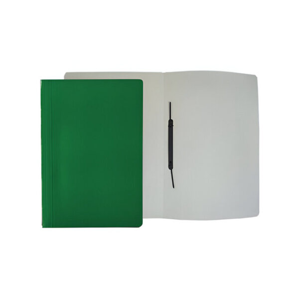 Pasta Com Grampo Plástico Tipo Probus Verde DelloPlex Ref. 0292.00502