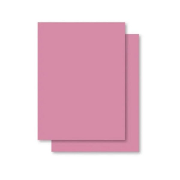 Cartolina 50x66cm 140g Rosa c/20fl Jandaia